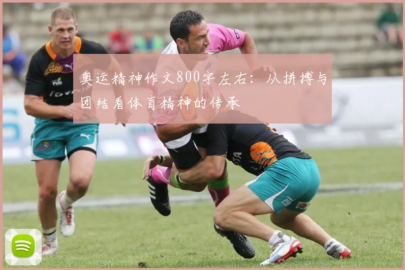 奥运精神作文800字左右：从拼搏与团结看体育精神的传承