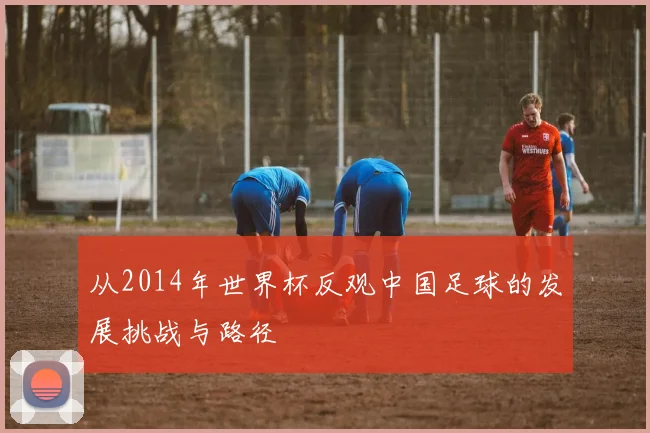 从2014年世界杯反观中国足球的发展挑战与路径