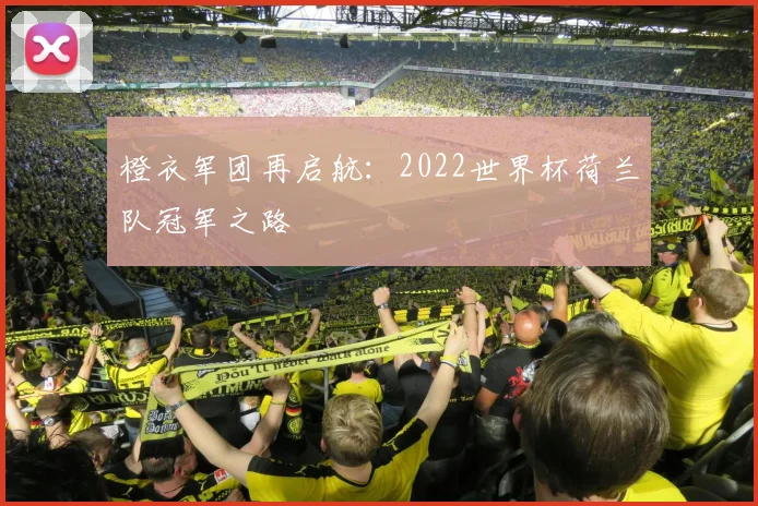 橙衣军团再启航：2022世界杯荷兰队冠军之路